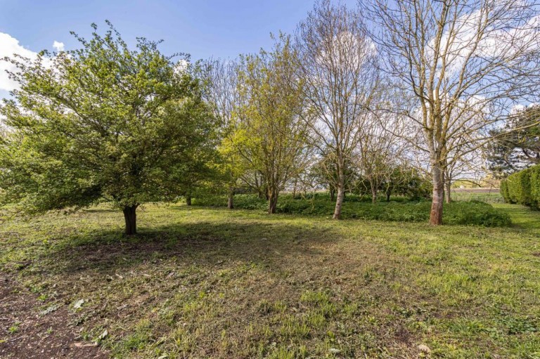 Images for The Gault, Sutton, Ely