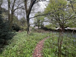 Images for Houndsmoor Lane, Milverton, Taunton