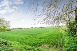 Images for Calvert Road, Greens Norton, NN12