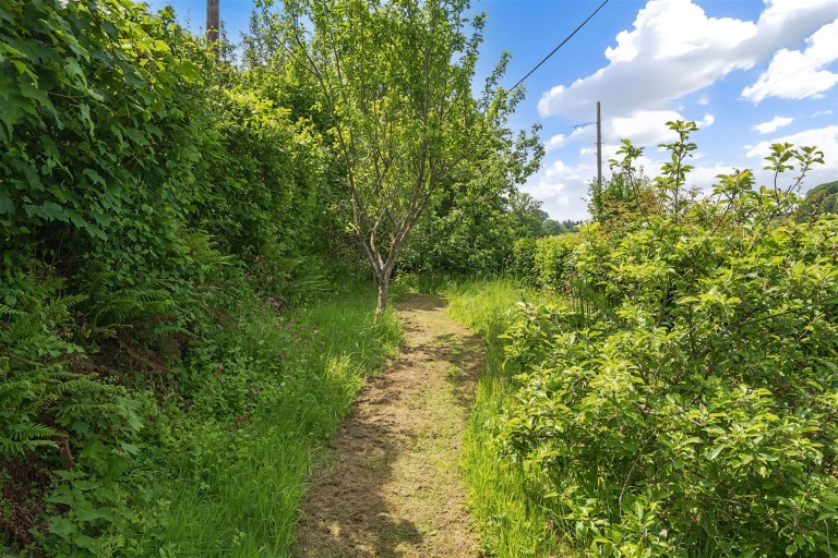 Images for Melbury Bubb, Dorchester