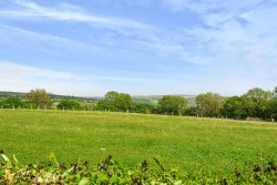 Images for Binkham Hill, Yelverton