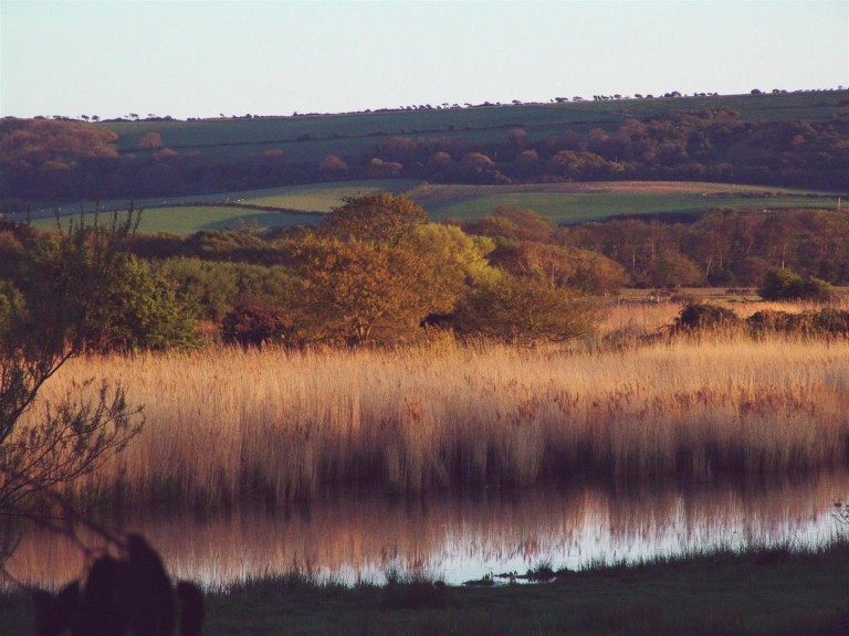 Images for St. Helens, Isle of Wight
