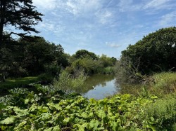 Images for St. Helens, Isle of Wight