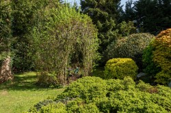 Images for Forest Mill Lane, Horton, Ilminster