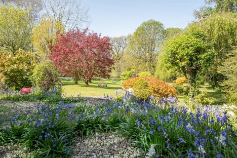 Click the photo for more details of Forest Mill Lane, Horton, Ilminster