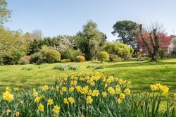 Images for Forest Mill Lane, Horton, Ilminster