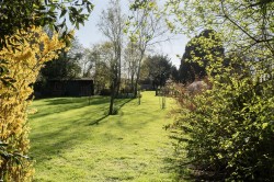 Images for Crewkerne