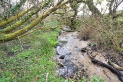 Images for Stithians, Truro