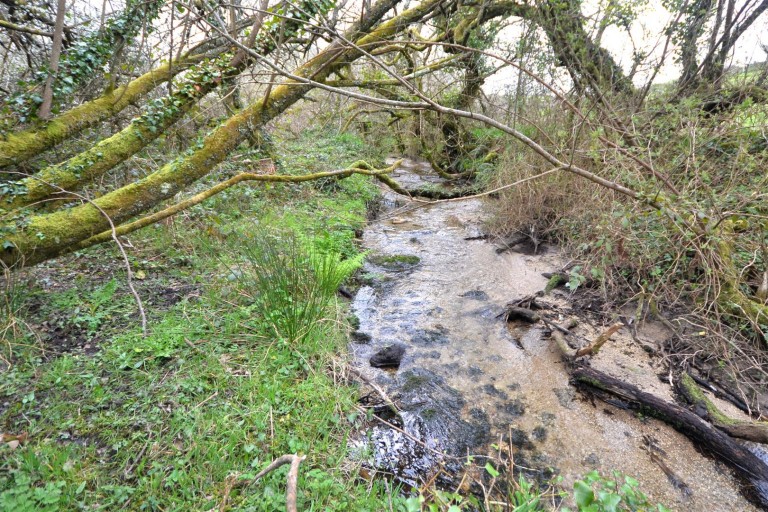 Images for Stithians, Truro