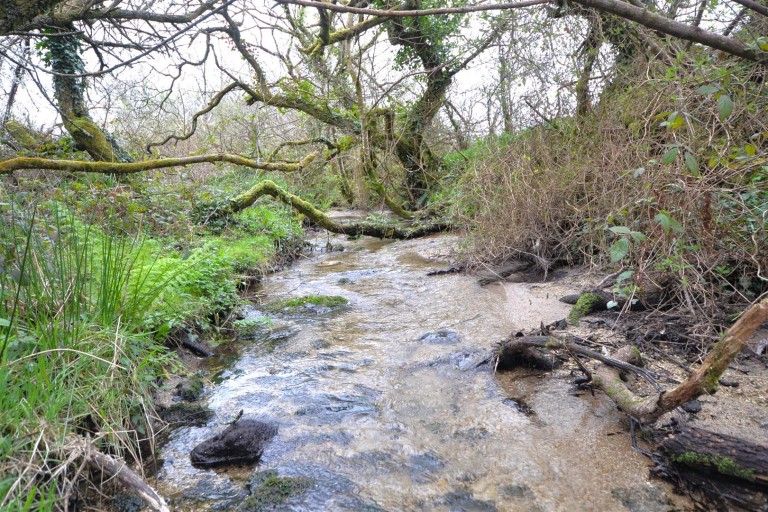 Images for Stithians, Truro