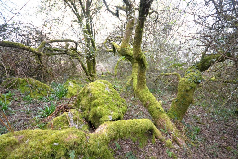 Images for Stithians, Truro