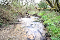 Images for Stithians, Truro