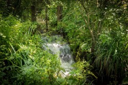 Images for Yafford, Isle of Wight