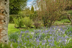 Images for Drewsteignton, Exeter