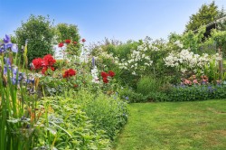 Images for Branscombe, Seaton