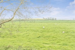 Images for Limington, Yeovil