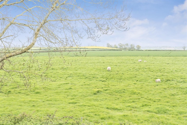 Images for Limington, Yeovil