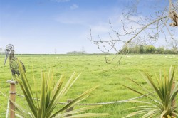 Images for Limington, Yeovil