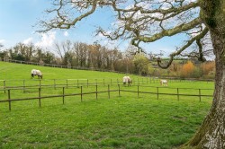 Images for Dunsford, Exeter