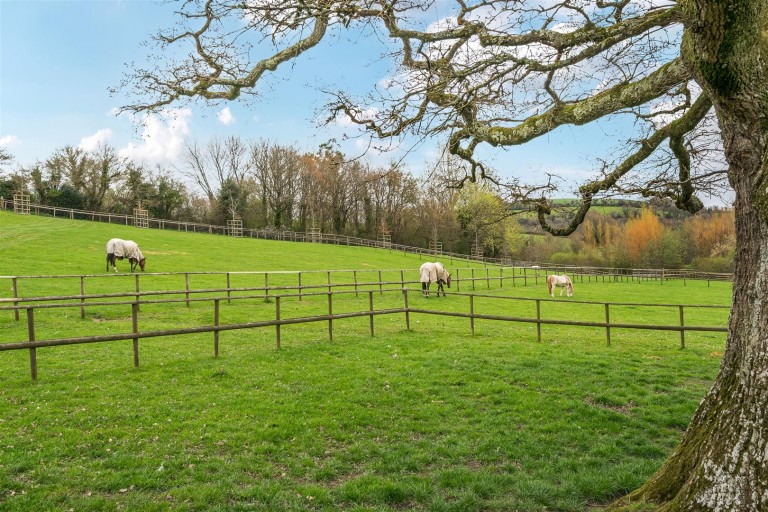 Images for Dunsford, Exeter