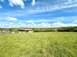 Images for Templemans Ash, Bridport