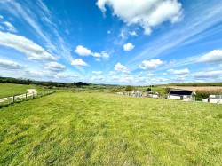 Images for Templemans Ash, Bridport