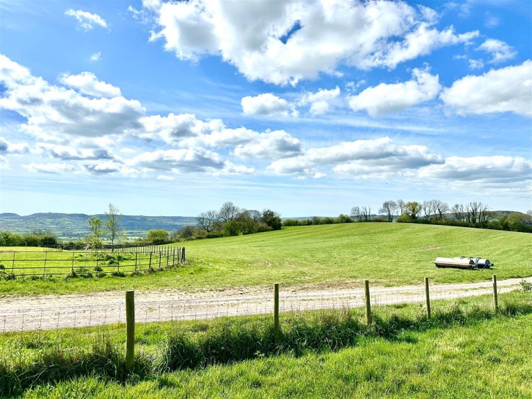 Images for Templemans Ash, Bridport