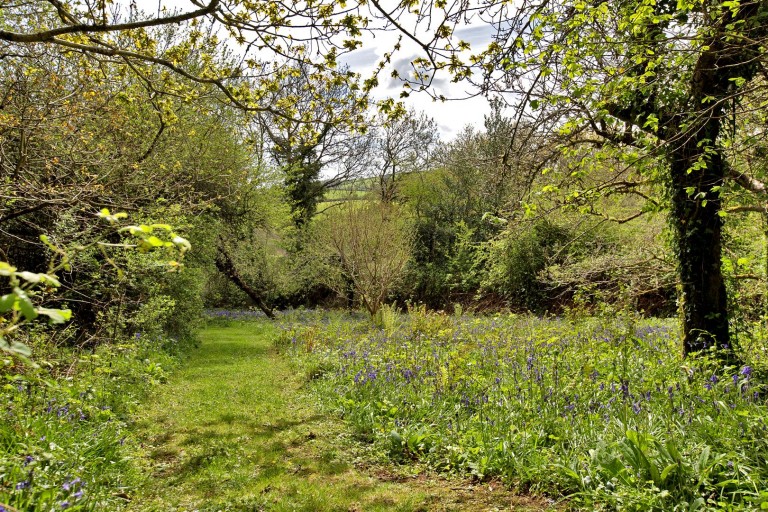 Images for Diptford, Totnes