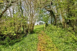 Images for Diptford, Totnes