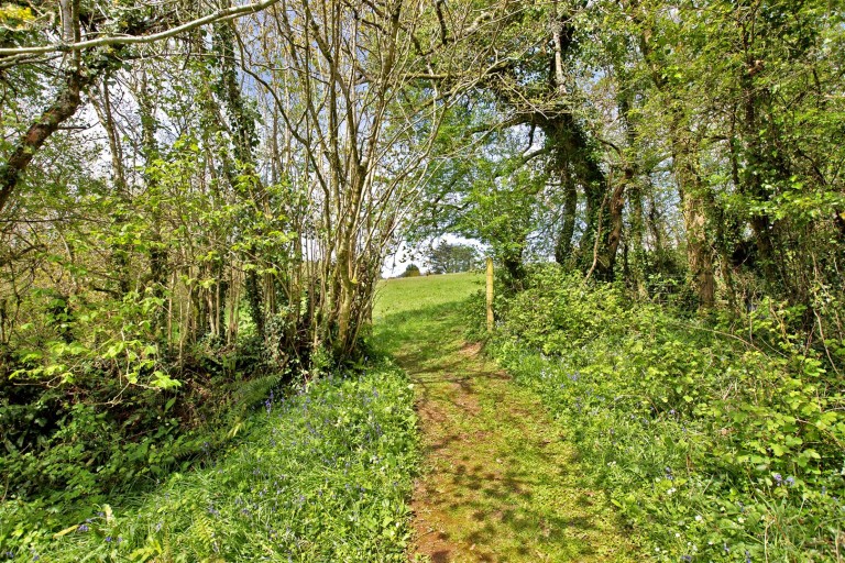 Images for Diptford, Totnes