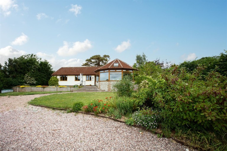 Images for Chardstock, Axminster