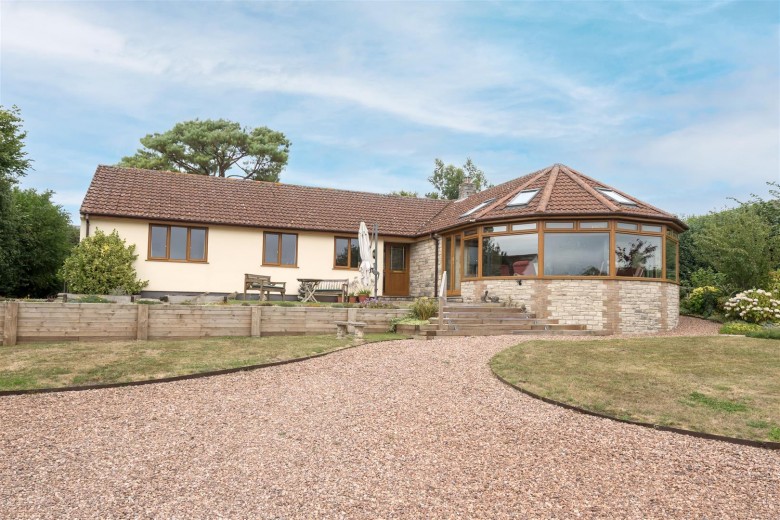 Click the photo for more details of Chardstock, Axminster
