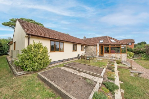 Click the photo for more details of Chardstock, Axminster