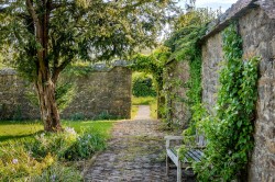 Images for Prout Bridge, Beaminster