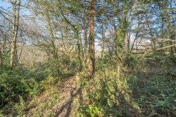 Images for Longdown, Exeter
