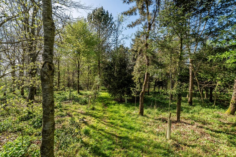 Images for Trillacott Road, North Petherwin, Launceston