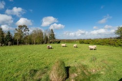Images for Trillacott Road, North Petherwin, Launceston
