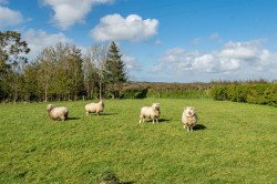 Images for Trillacott Road, North Petherwin, Launceston