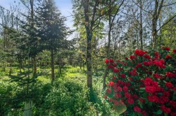 Images for Trillacott Road, North Petherwin, Launceston
