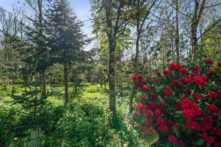 Images for Trillacott Road, North Petherwin, Launceston