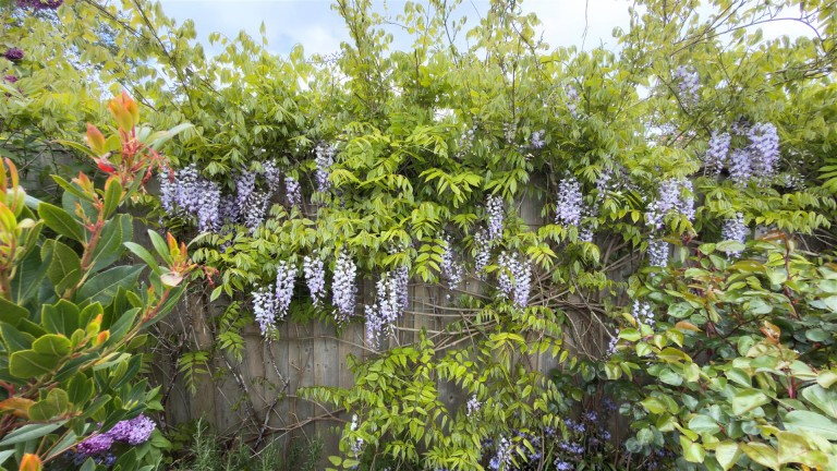 Images for Freshwater, Isle of Wight