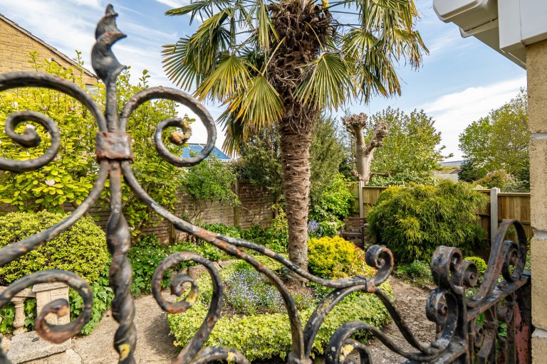 Images for Nursery Gardens, Chard