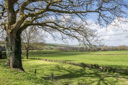 Images for Shillingford, Tiverton