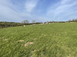 Images for Clawton, Holsworthy