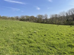 Images for Clawton, Holsworthy