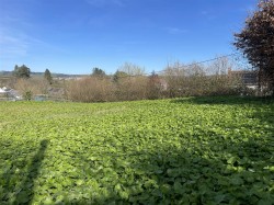 Images for Lake, Tawstock, Barnstaple