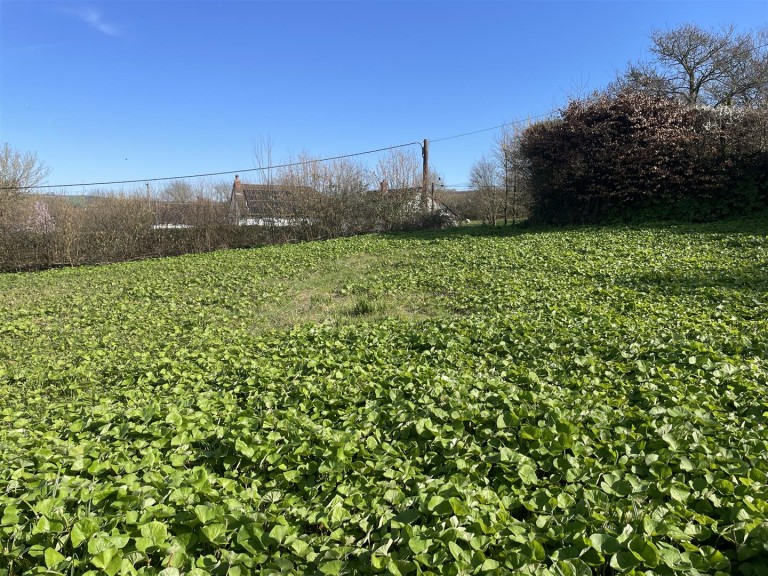 Images for Lake, Tawstock, Barnstaple