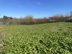 Images for Lake, Tawstock, Barnstaple