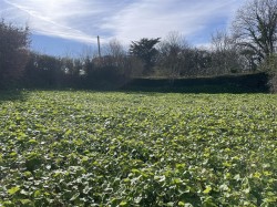 Images for Lake, Tawstock, Barnstaple