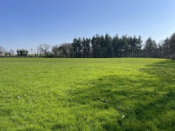 Images for East Village, Crediton